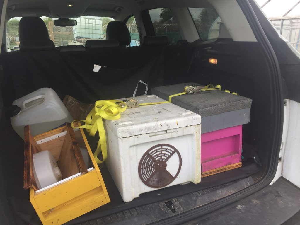 image showing nucs ready for transport in the back of a car