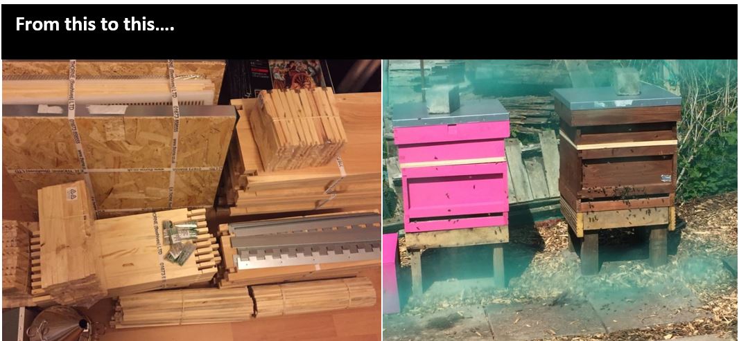 image showing prgress from flat pack hive parts to constructed hives 