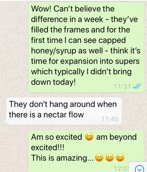 image of text message saying how well the bees seemed to be doing
