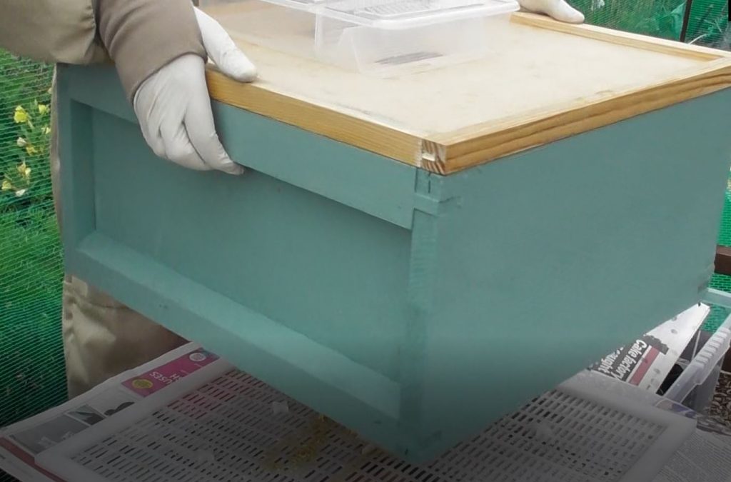 image showing the green brood box being placed on top of the pink brood box